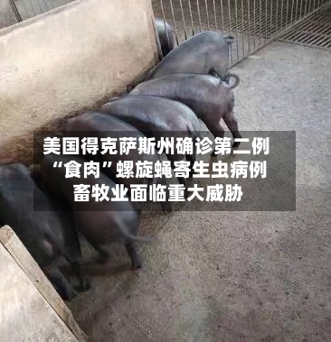 美国得克萨斯州确诊第二例“食肉”螺旋蝇寄生虫病例 畜牧业面临重大威胁-第2张图片