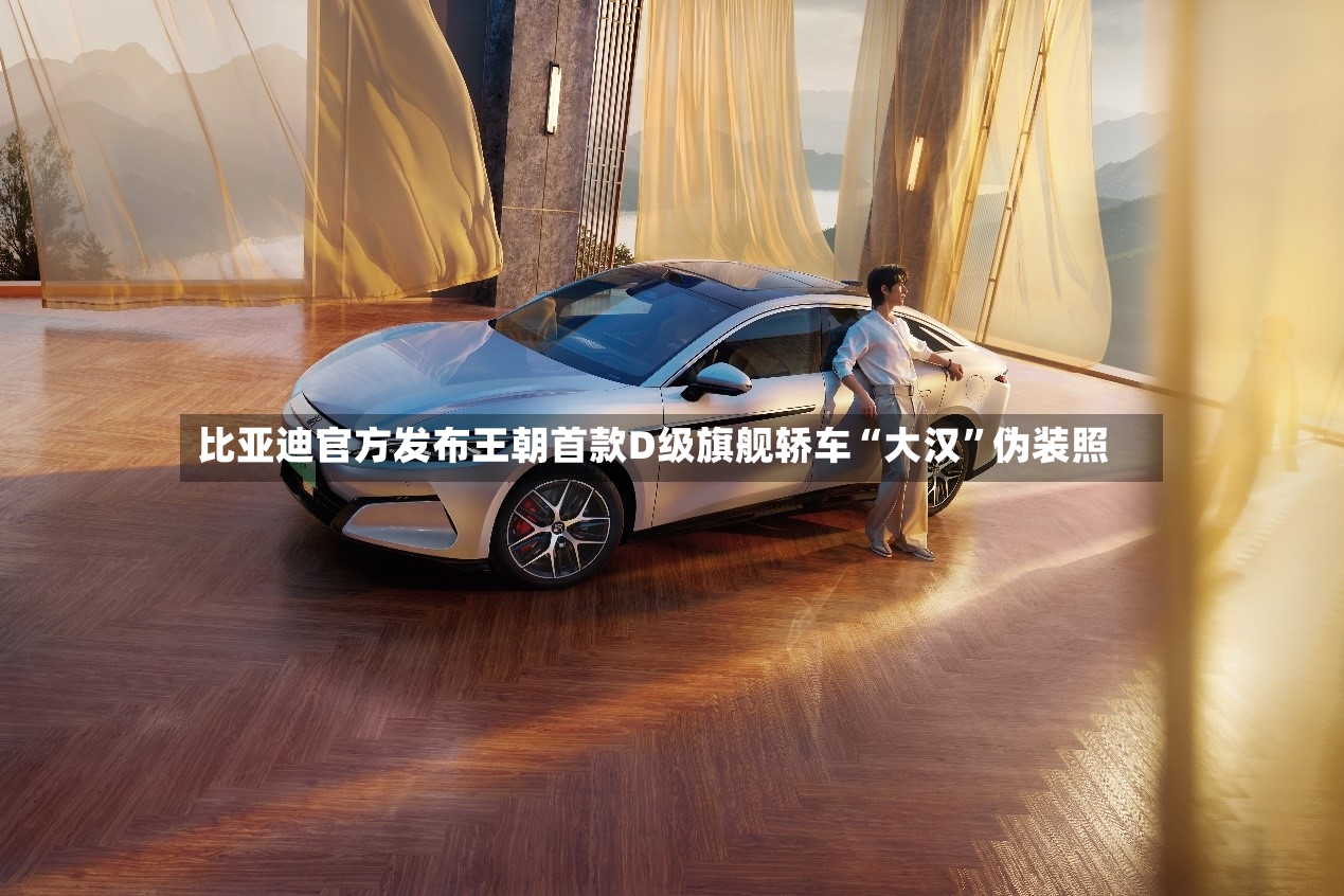 比亚迪官方发布王朝首款D级旗舰轿车“大汉	”伪装照-第3张图片