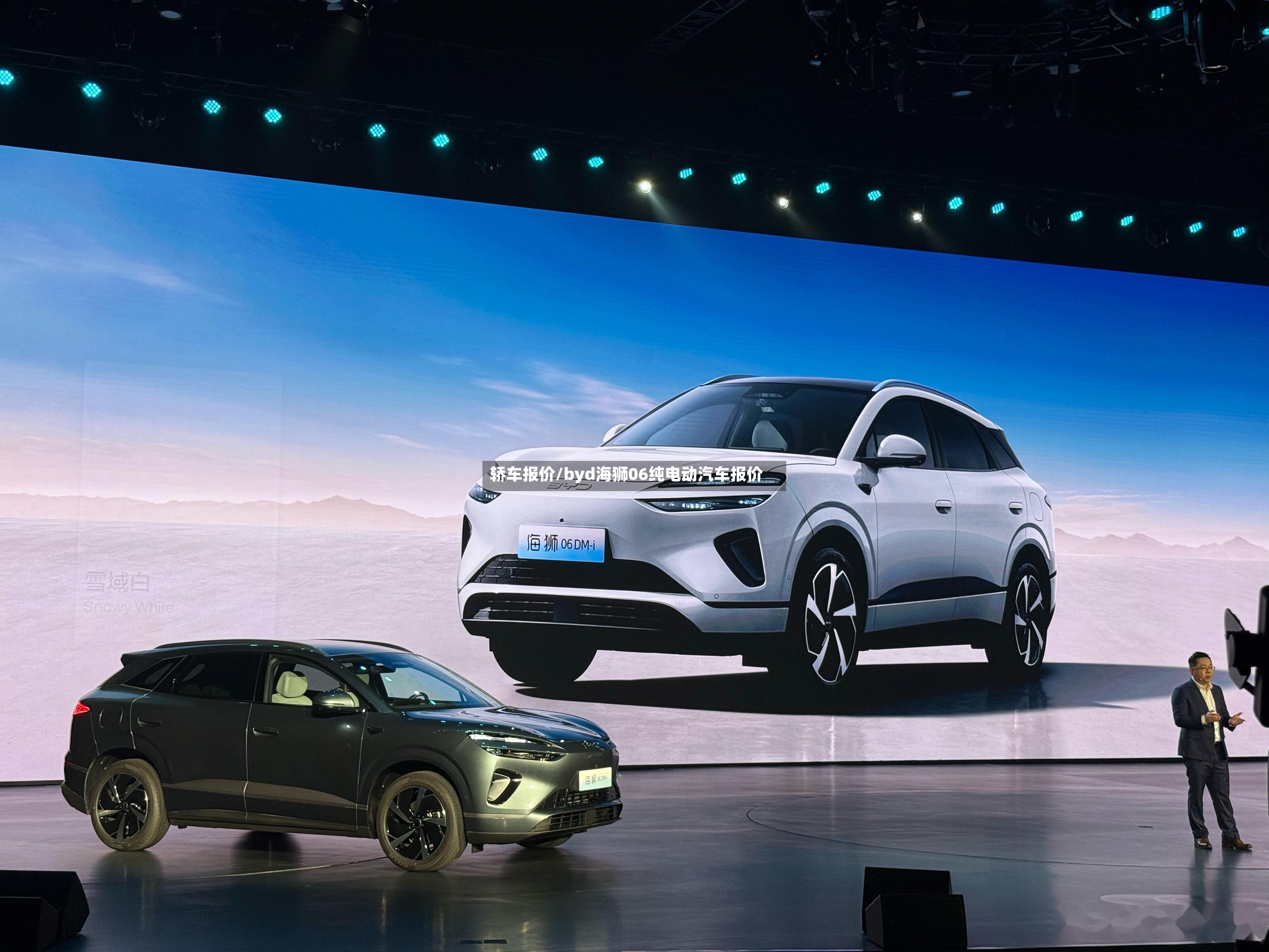 轿车报价/byd海狮06纯电动汽车报价