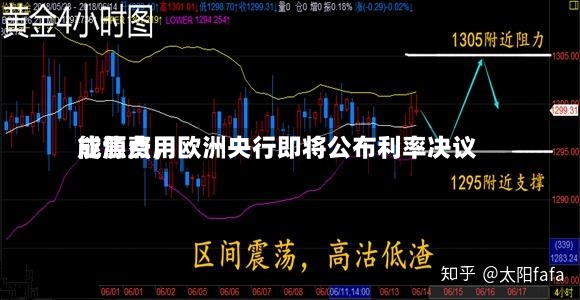 能源费用成焦点，欧洲央行即将公布利率决议-第2张图片