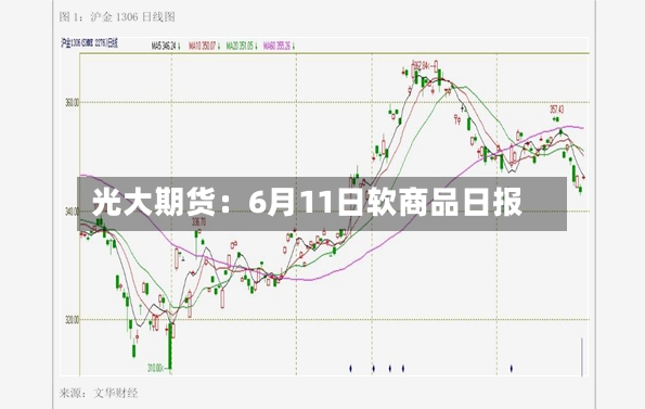 光大期货：6月11日软商品日报-第2张图片