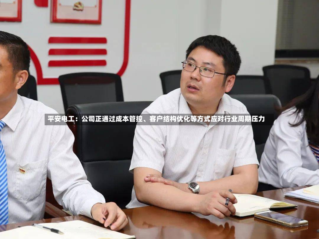 平安电工：公司正通过成本管控	、客户结构优化等方式应对行业周期压力-第3张图片
