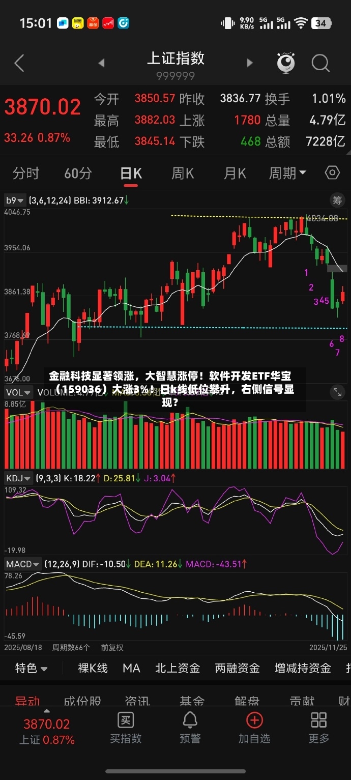 金融科技显著领涨，大智慧涨停！软件开发ETF华宝（159036）大涨3%！日k线低位攀升	，右侧信号显现？-第2张图片