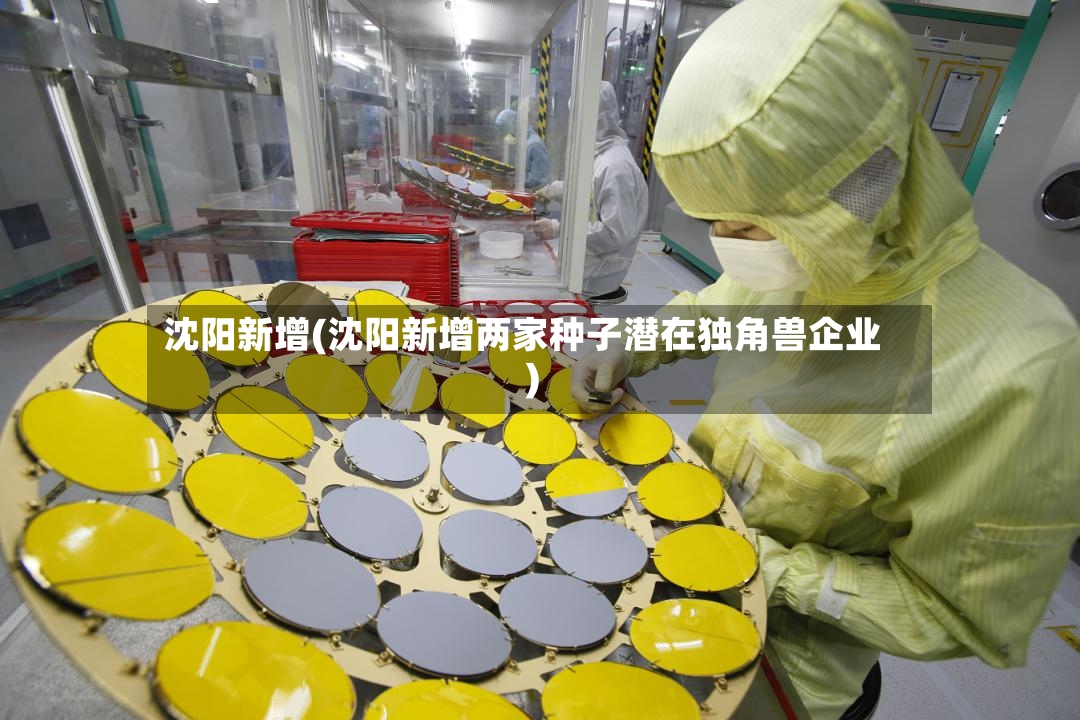 沈阳新增(沈阳新增两家种子潜在独角兽企业)-第2张图片
