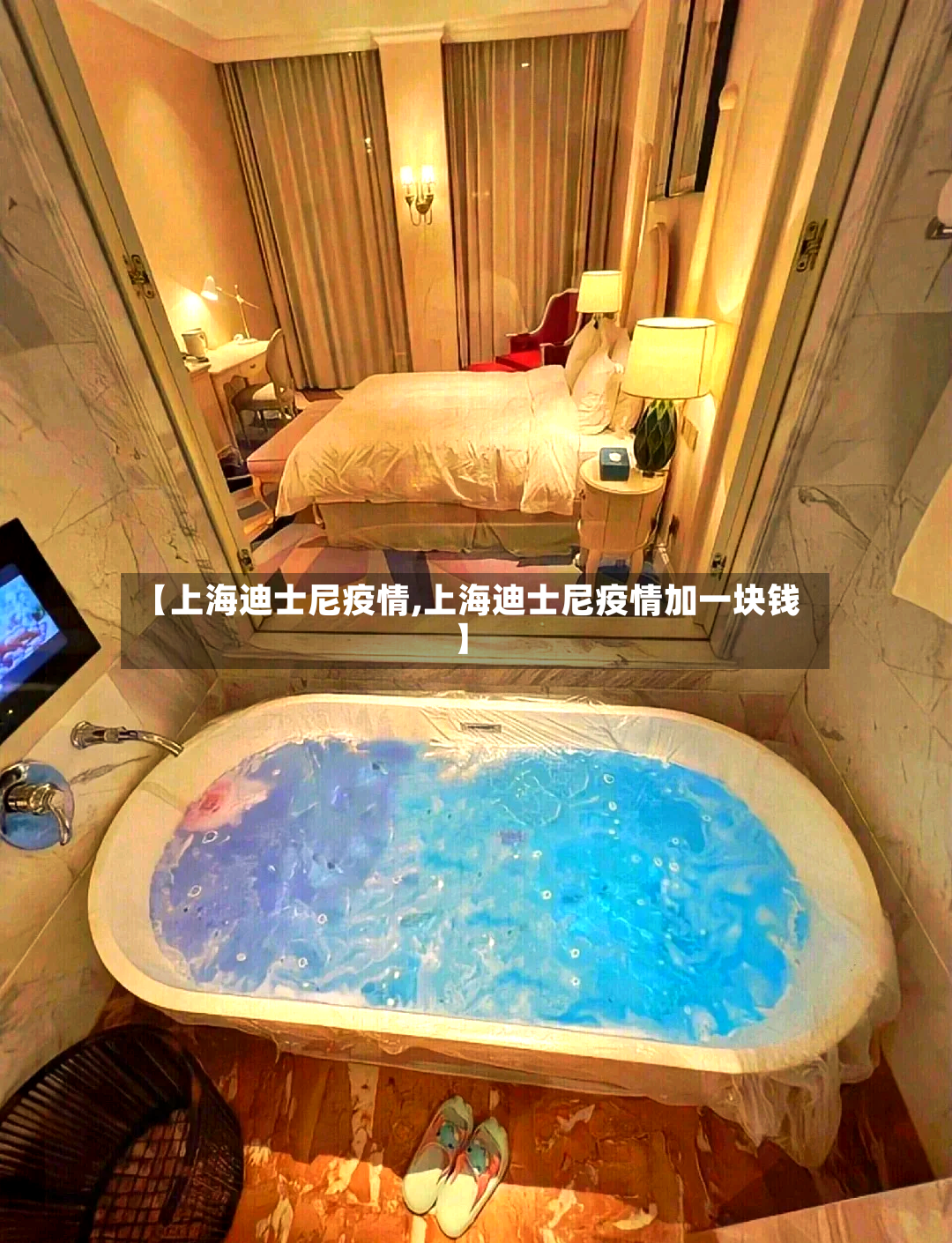 【上海迪士尼疫情,上海迪士尼疫情加一块钱】