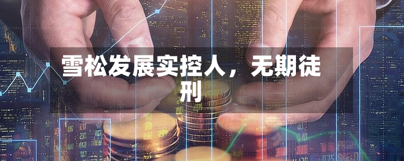 雪松发展实控人，无期徒刑-第2张图片