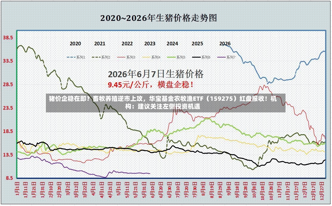 猪价企稳在即？畜牧养殖逆市上攻，华宝基金农牧渔ETF（159275）红盘报收！机构：建议关注左侧投资机遇
