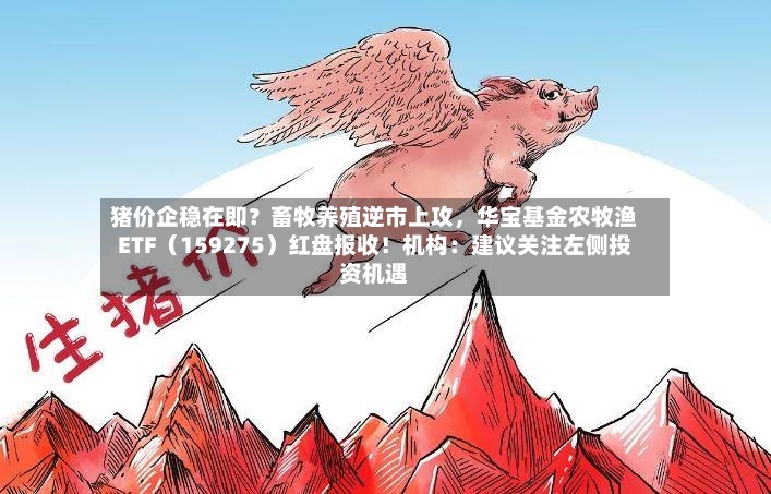 猪价企稳在即？畜牧养殖逆市上攻，华宝基金农牧渔ETF（159275）红盘报收！机构：建议关注左侧投资机遇-第2张图片