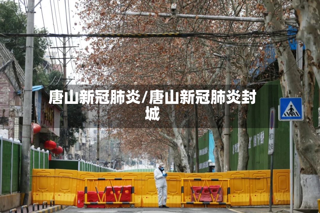 唐山新冠肺炎/唐山新冠肺炎封城-第2张图片