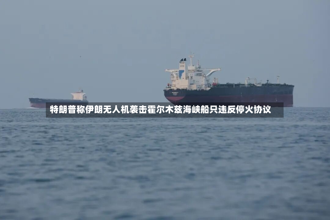 特朗普称伊朗无人机袭击霍尔木兹海峡船只违反停火协议-第2张图片