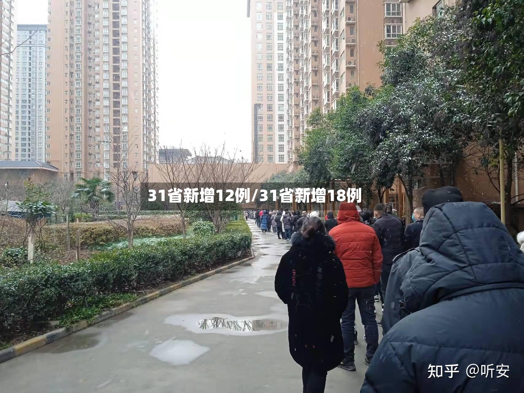 31省新增12例/31省新增18例
