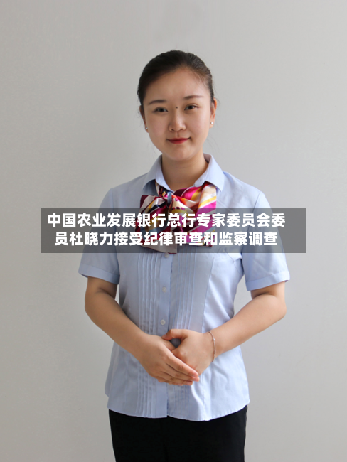 中国农业发展银行总行专家委员会委员杜晓力接受纪律审查和监察调查