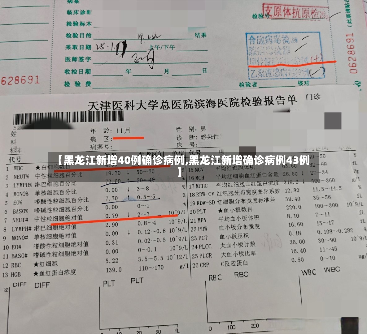 【黑龙江新增40例确诊病例,黑龙江新增确诊病例43例】-第2张图片