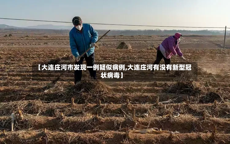 【大连庄河市发现一例疑似病例,大连庄河有没有新型冠状病毒】-第3张图片