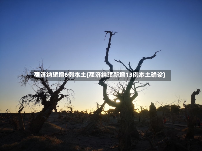 额济纳旗增6例本土(额济纳旗新增13例本土确诊)-第2张图片