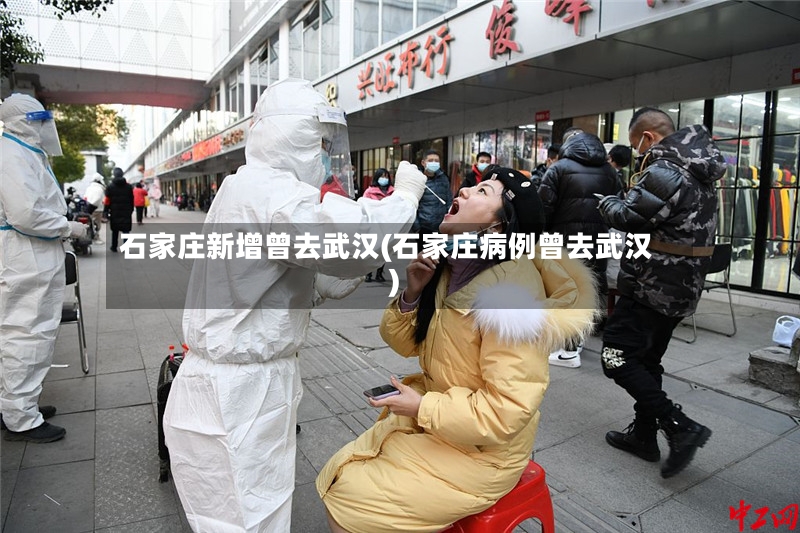 石家庄新增曾去武汉(石家庄病例曾去武汉)-第2张图片