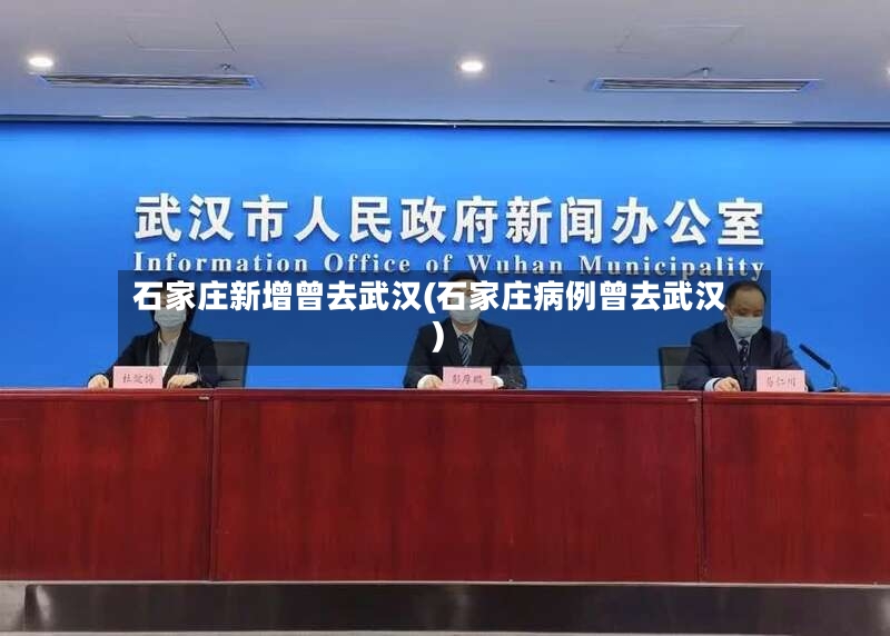石家庄新增曾去武汉(石家庄病例曾去武汉)-第3张图片