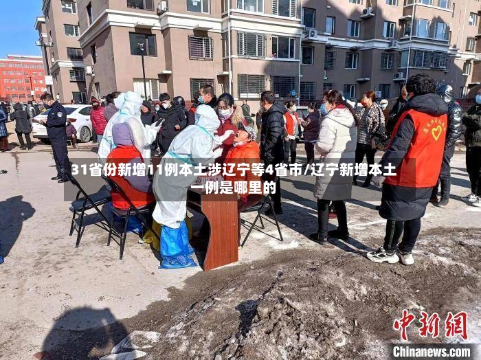 31省份新增11例本土涉辽宁等4省市/辽宁新增本土一例是哪里的