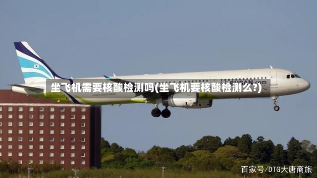 坐飞机需要核酸检测吗(坐飞机要核酸检测么?)