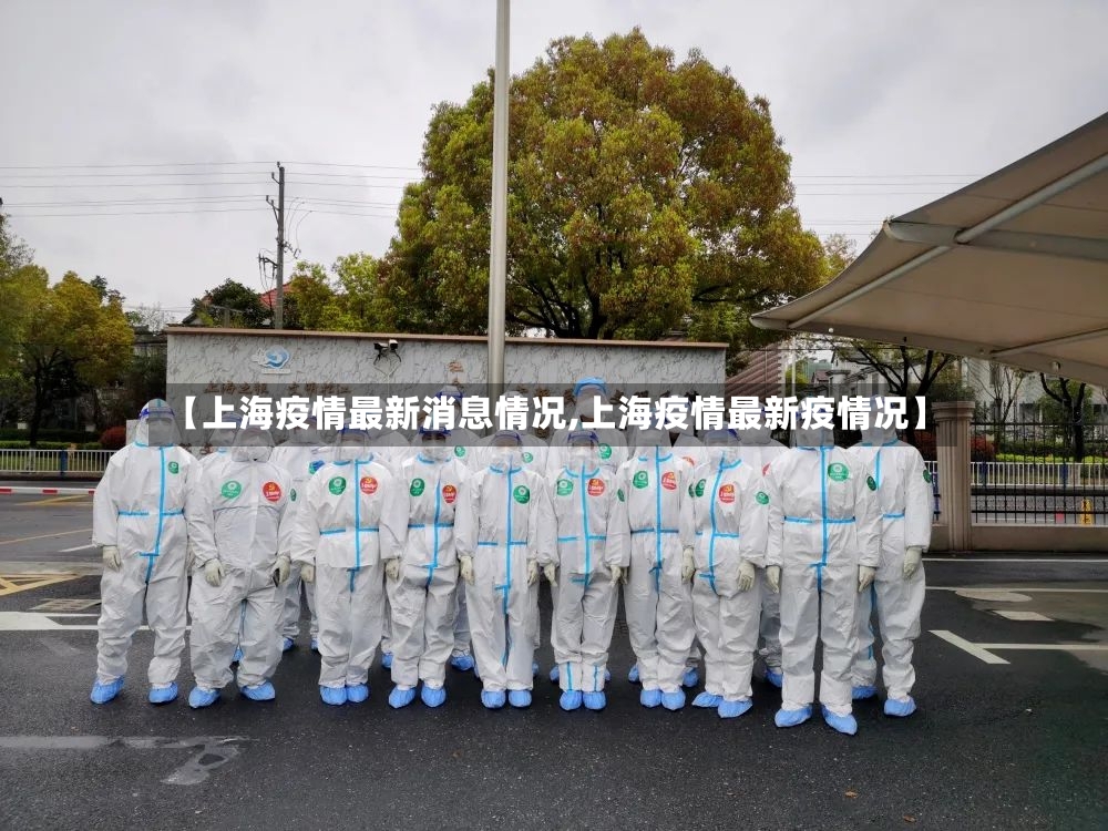 【上海疫情最新消息情况,上海疫情最新疫情况】-第2张图片