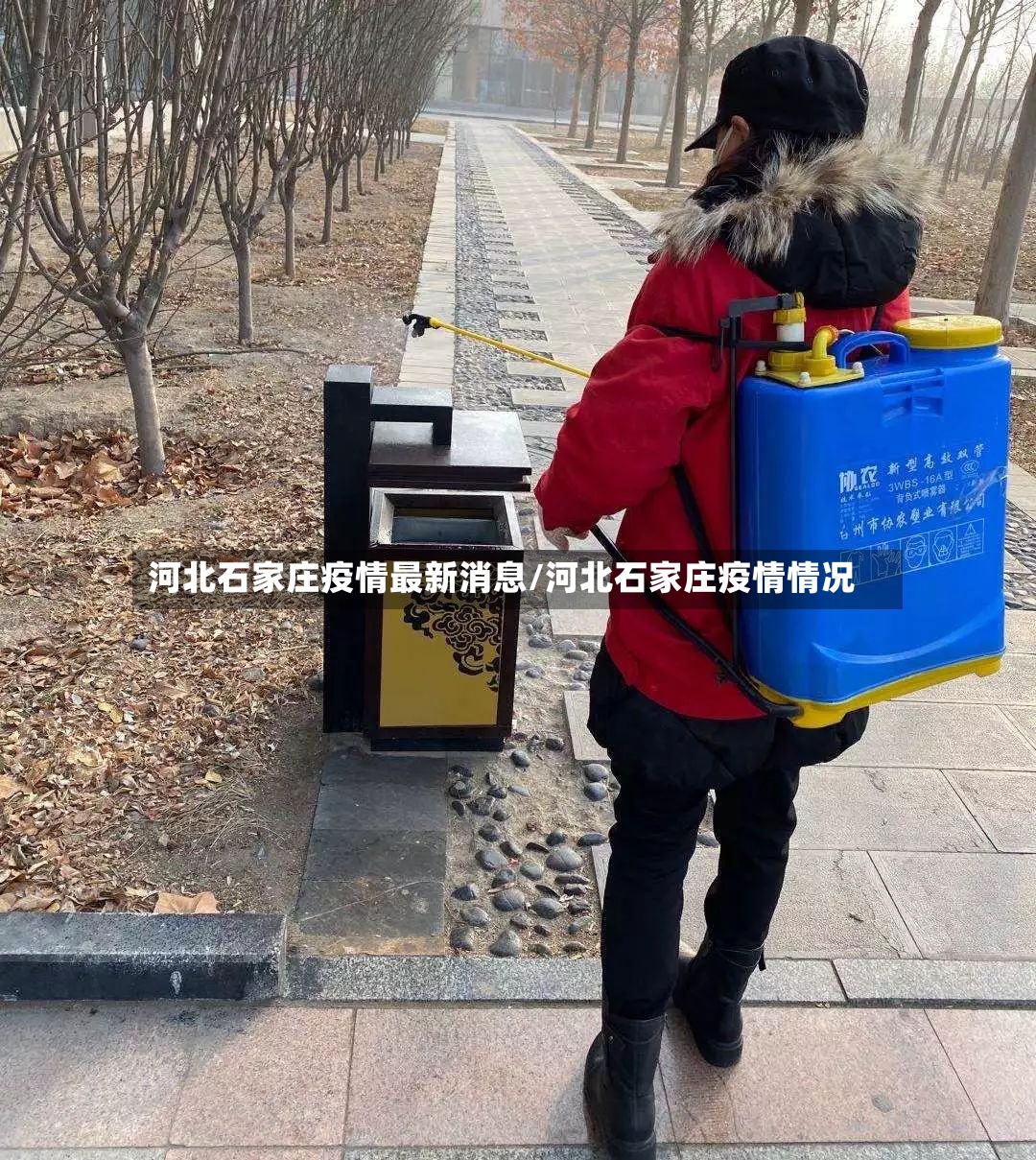 河北石家庄疫情最新消息/河北石家庄疫情情况-第2张图片