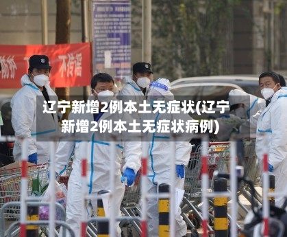 辽宁新增2例本土无症状(辽宁新增2例本土无症状病例)-第3张图片