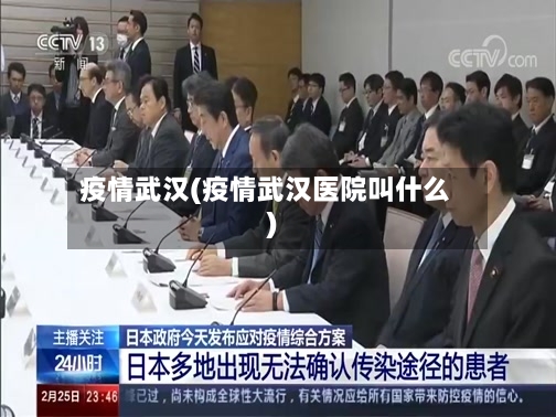 疫情武汉(疫情武汉医院叫什么)-第2张图片