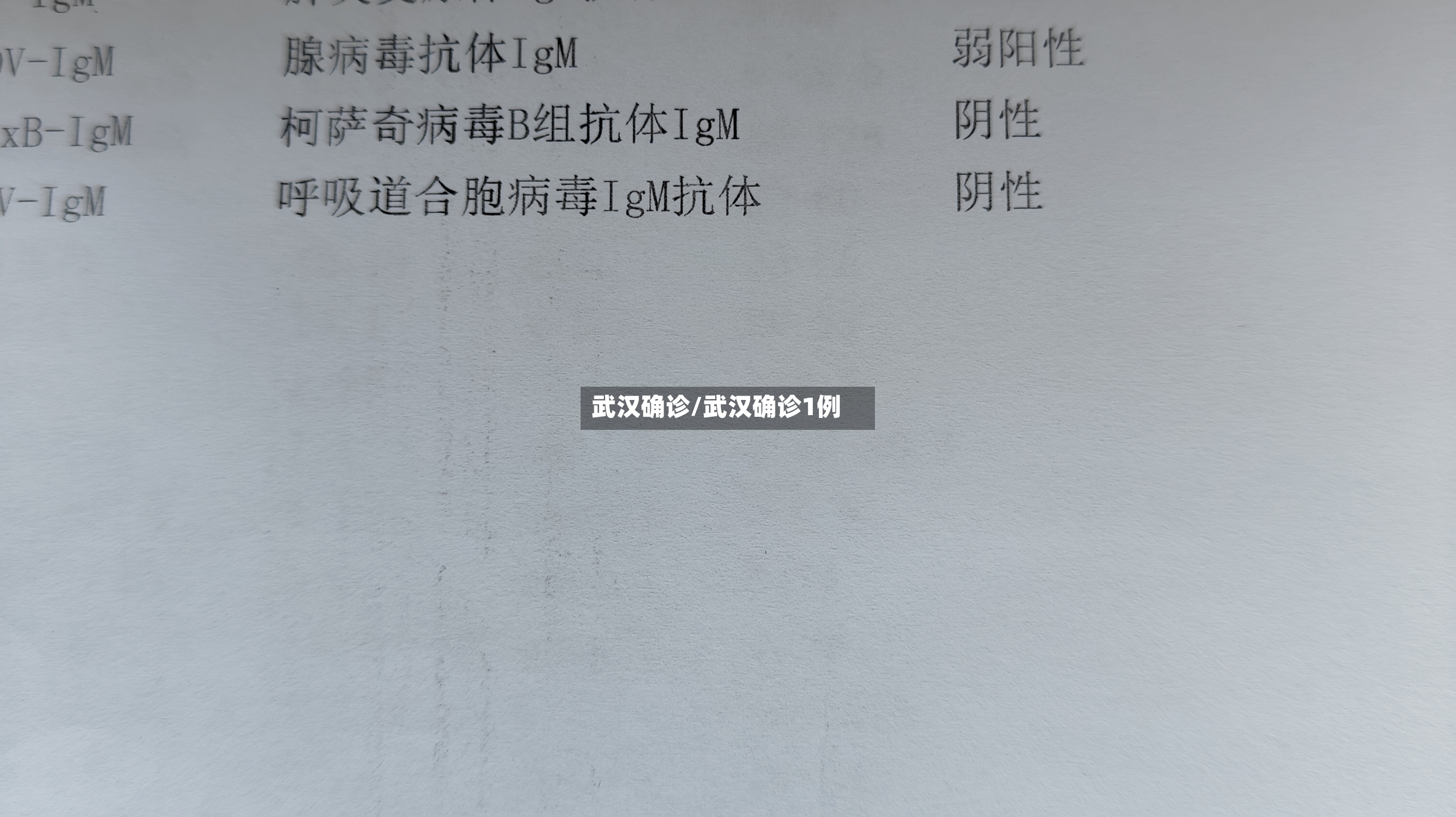 武汉确诊/武汉确诊1例-第2张图片