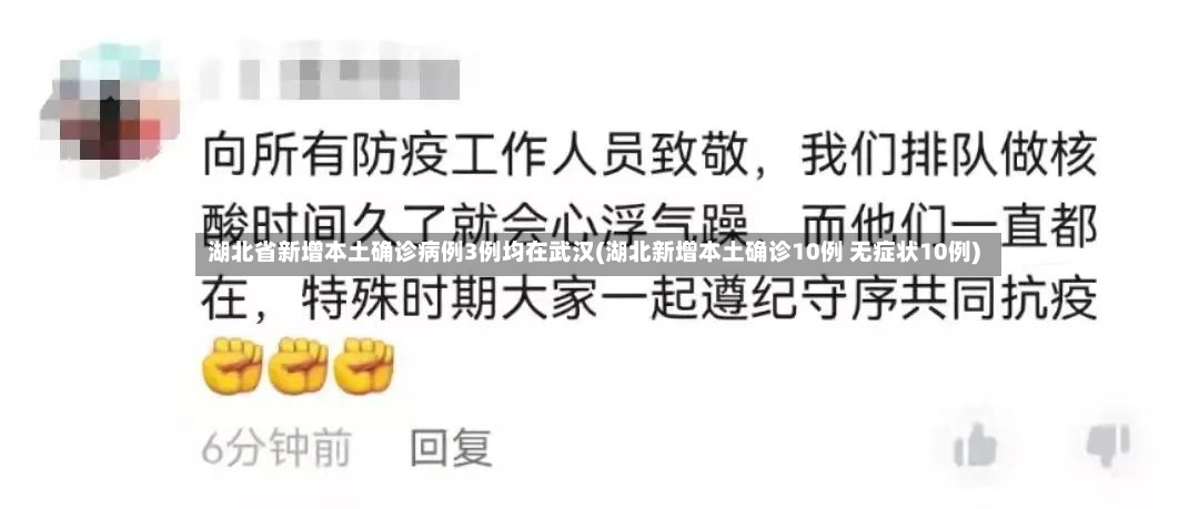 湖北省新增本土确诊病例3例均在武汉(湖北新增本土确诊10例 无症状10例)-第2张图片