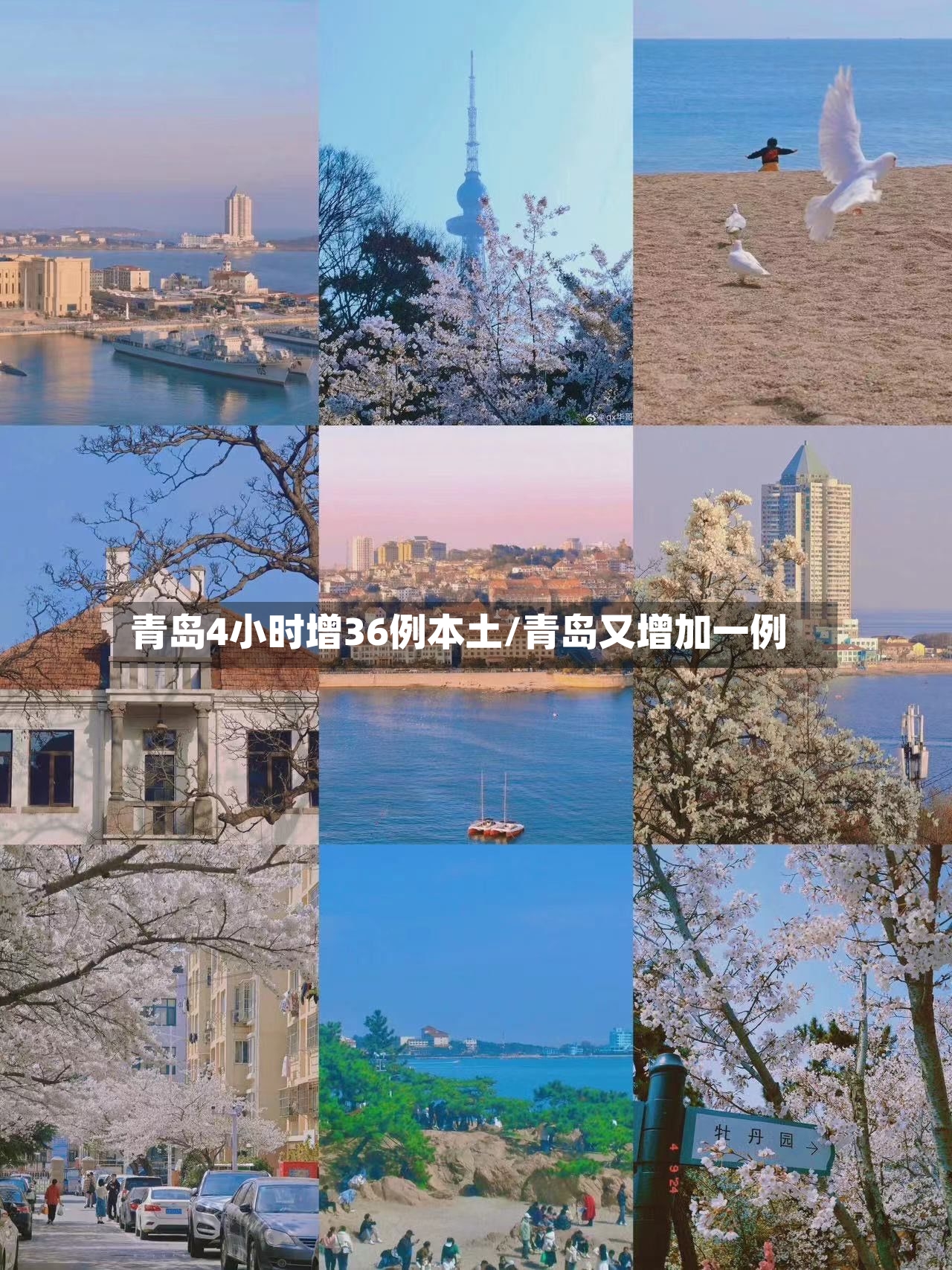 青岛4小时增36例本土/青岛又增加一例-第2张图片