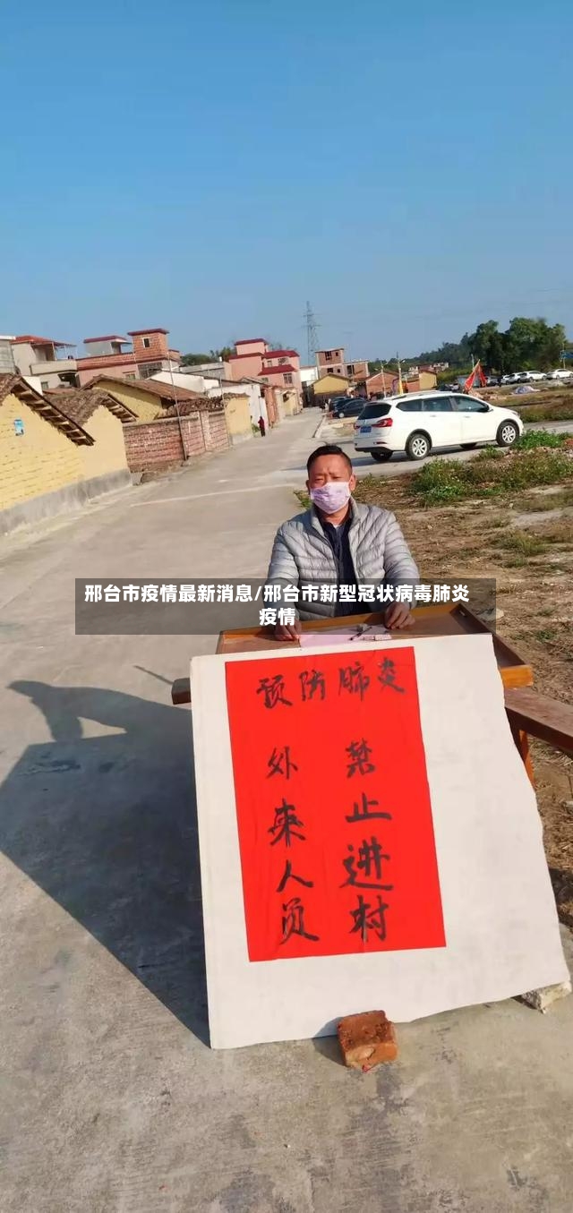 邢台市疫情最新消息/邢台市新型冠状病毒肺炎疫情-第3张图片