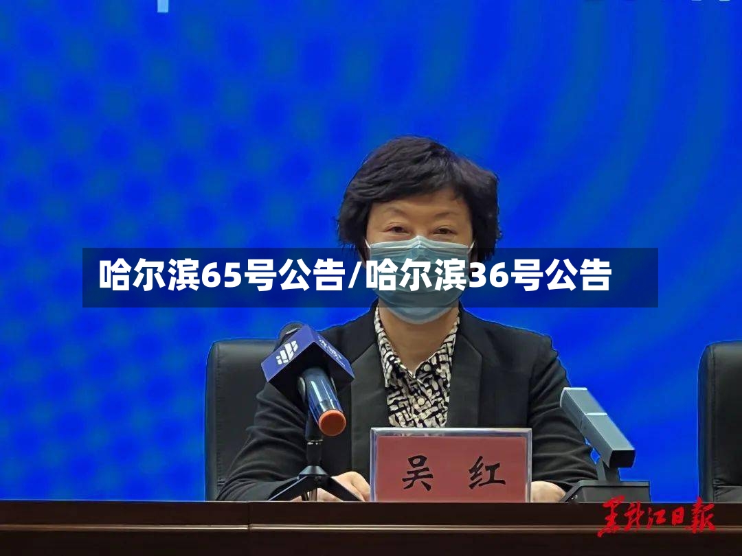 哈尔滨65号公告/哈尔滨36号公告-第2张图片