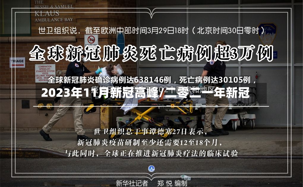 2023年11月新冠高峰/二零二一年新冠-第3张图片
