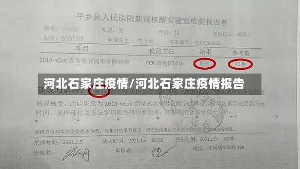 河北石家庄疫情/河北石家庄疫情报告