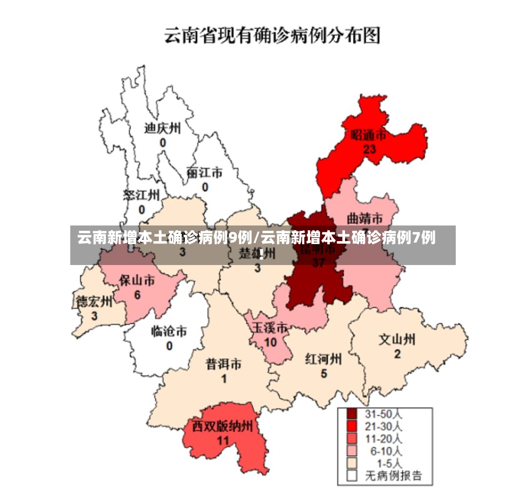 云南新增本土确诊病例9例/云南新增本土确诊病例7例!-第2张图片