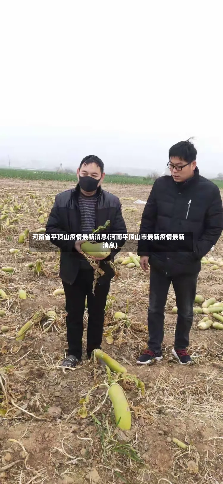 河南省平顶山疫情最新消息(河南平顶山市最新疫情最新消息)-第2张图片