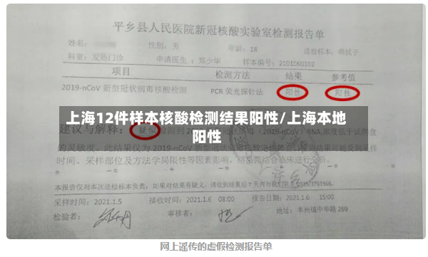 上海12件样本核酸检测结果阳性/上海本地阳性