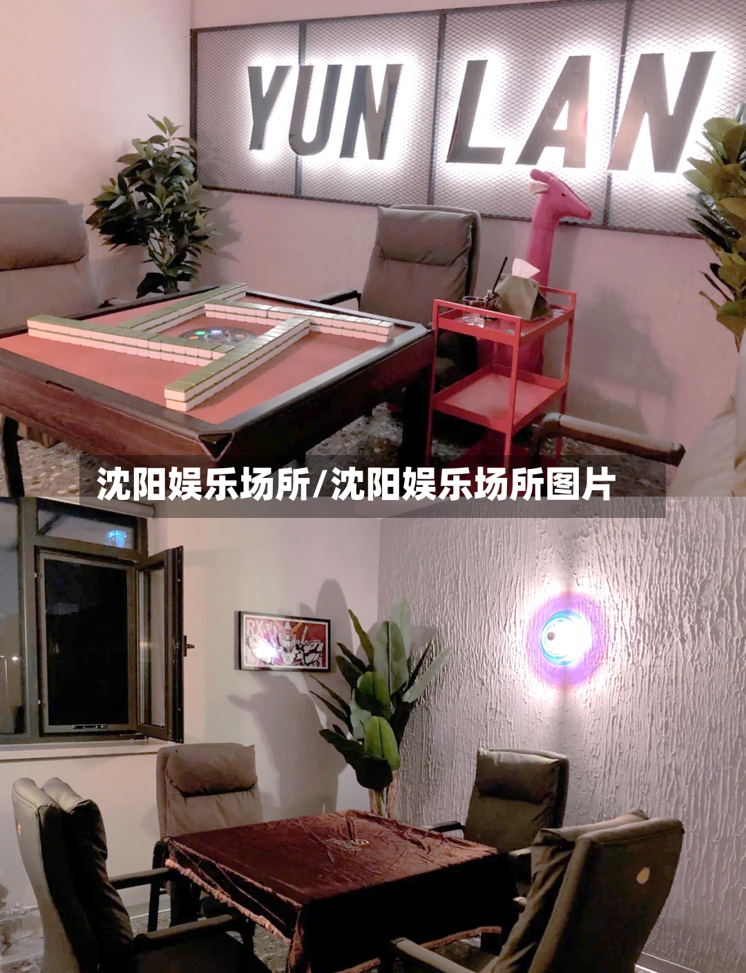 沈阳娱乐场所/沈阳娱乐场所图片-第3张图片
