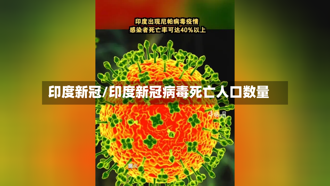 印度新冠/印度新冠病毒死亡人口数量