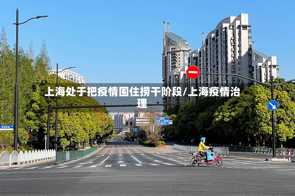 上海处于把疫情围住捞干阶段/上海疫情治理