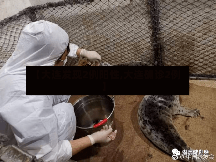 【大连发现2例阳性,大连确诊2例】