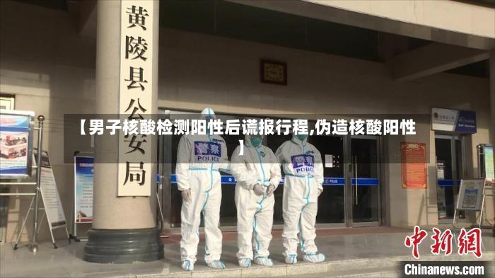 【男子核酸检测阳性后谎报行程,伪造核酸阳性】-第2张图片