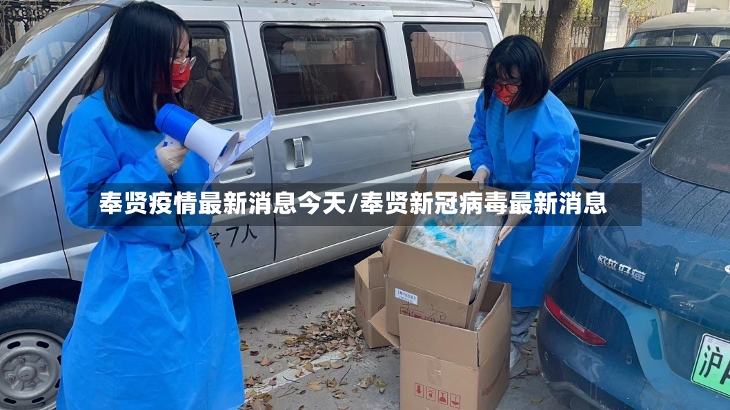 奉贤疫情最新消息今天/奉贤新冠病毒最新消息-第2张图片