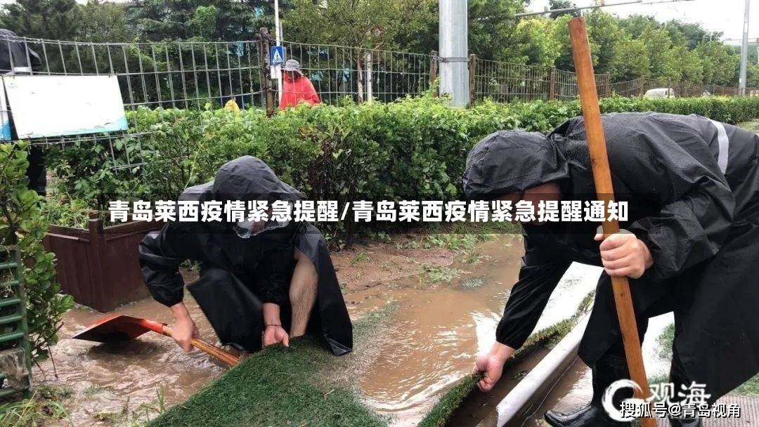 青岛莱西疫情紧急提醒/青岛莱西疫情紧急提醒通知