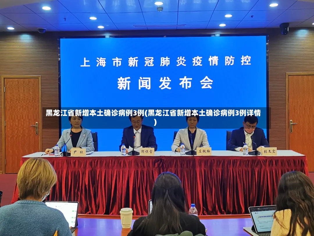 黑龙江省新增本土确诊病例3例(黑龙江省新增本土确诊病例3例详情)-第2张图片