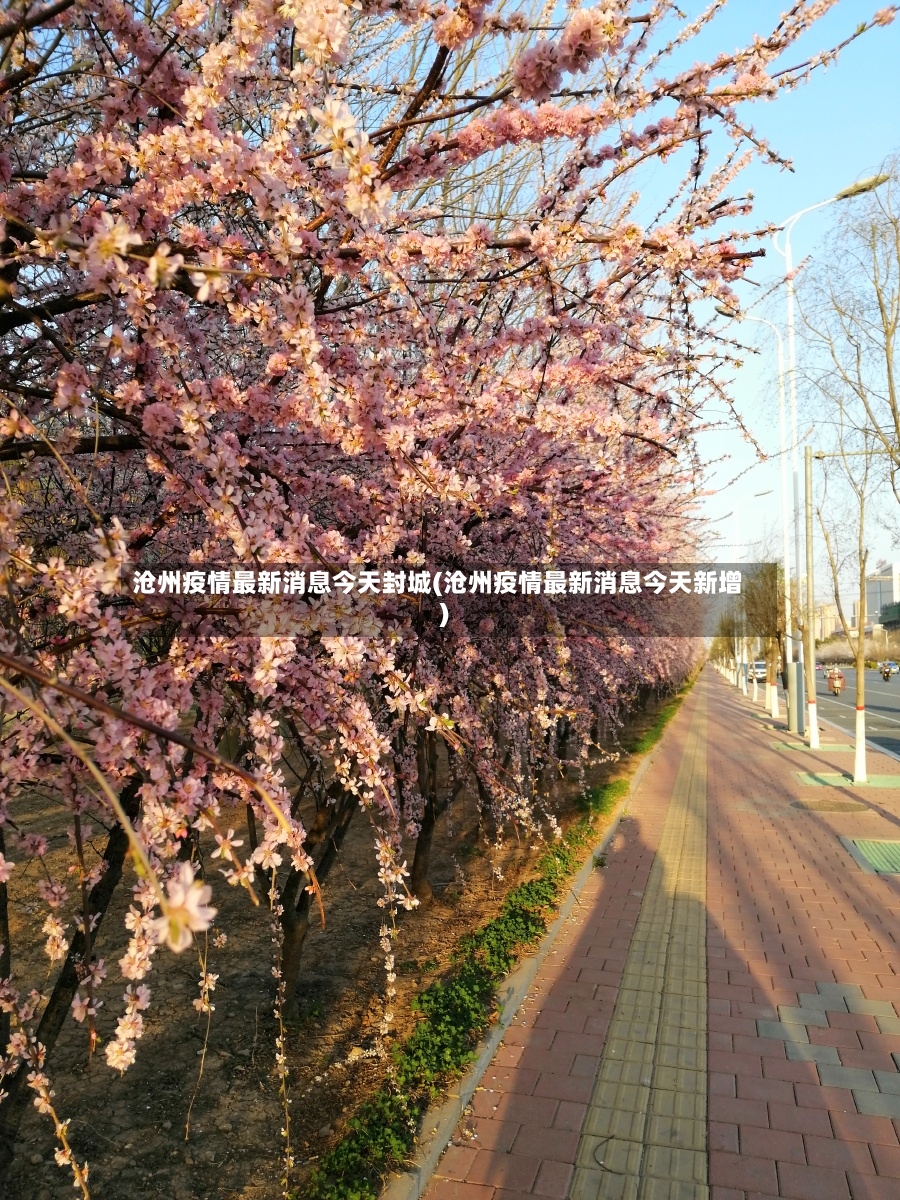 沧州疫情最新消息今天封城(沧州疫情最新消息今天新增)-第3张图片