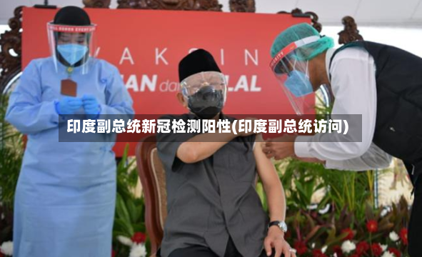 印度副总统新冠检测阳性(印度副总统访问)-第2张图片