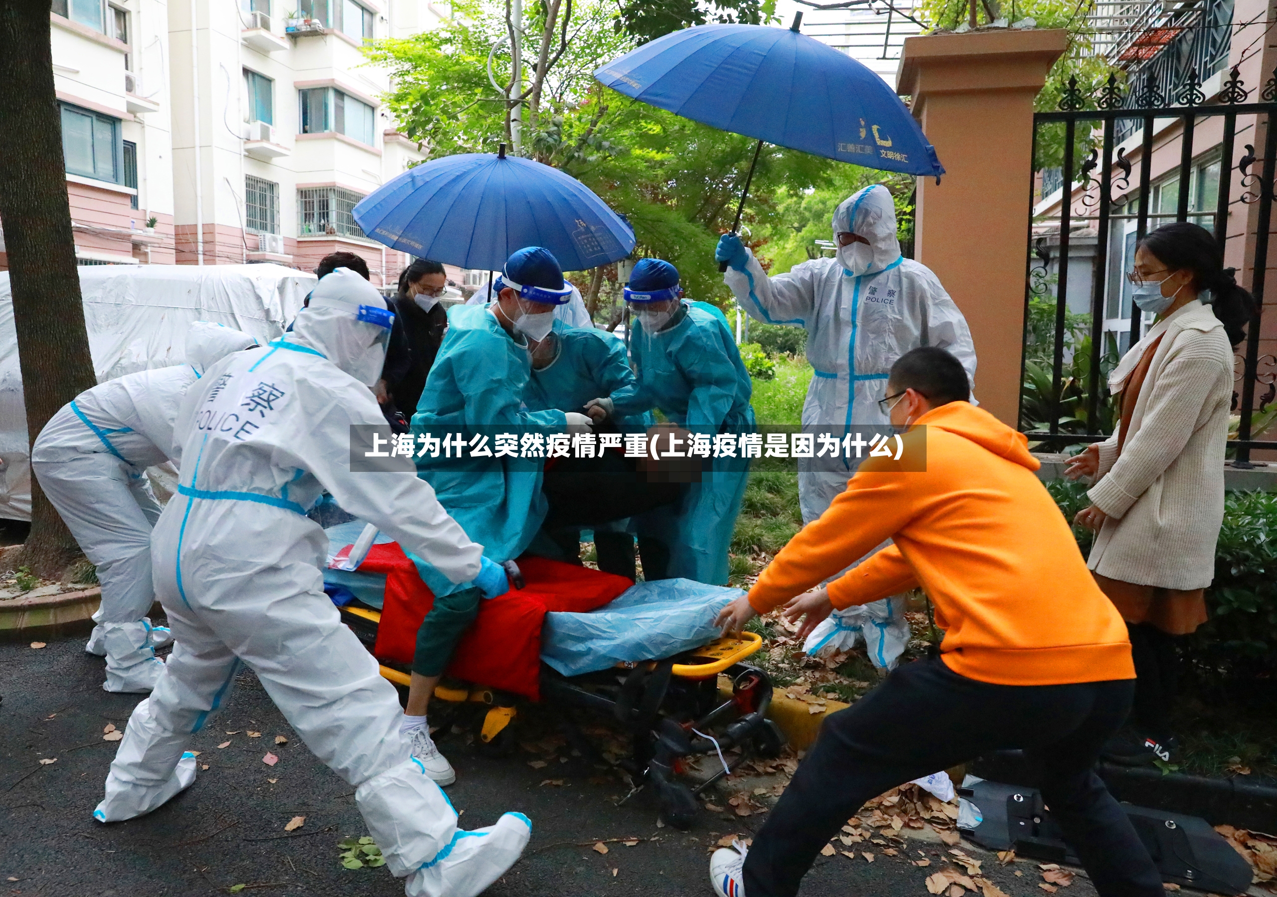 上海为什么突然疫情严重(上海疫情是因为什么)-第2张图片