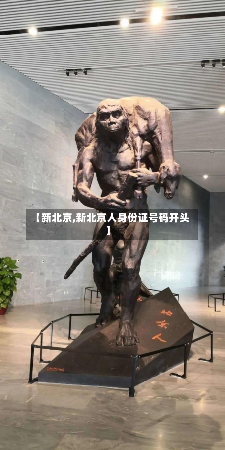 【新北京,新北京人身份证号码开头】-第2张图片