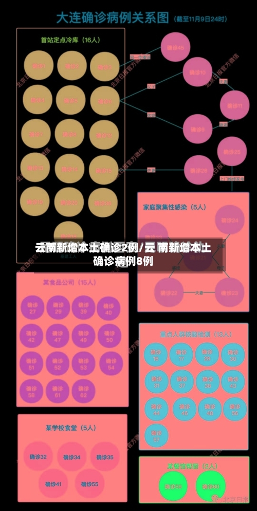 云南新增本土确诊2例/云 南新增本土确诊病例8例-第2张图片